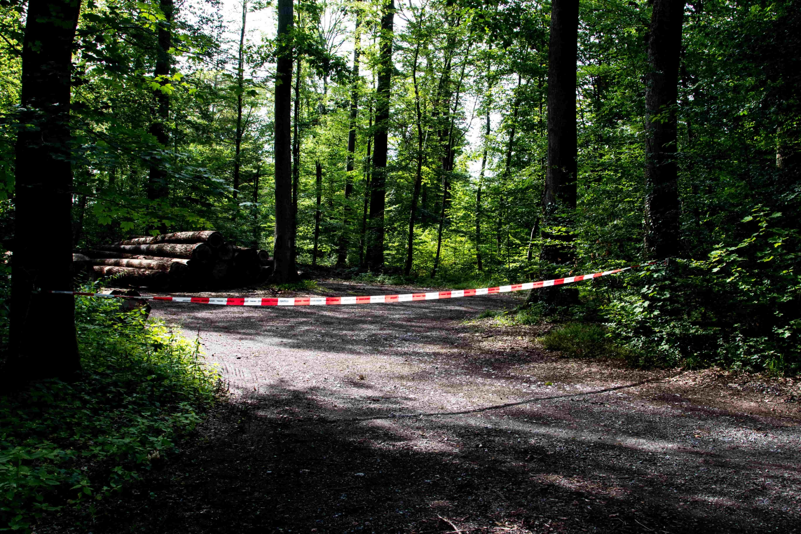 Tatortreinigung auf einer Straße und im Freien in Passau